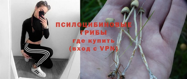 СК Михайловка