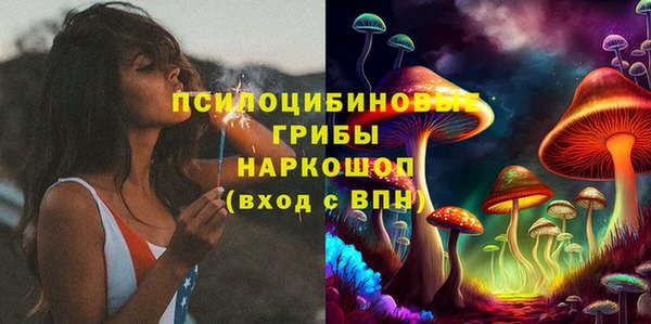 мяу мяу мука Надым