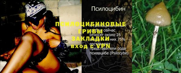 героин Наволоки