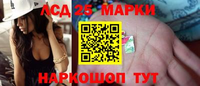СК Кандалакша