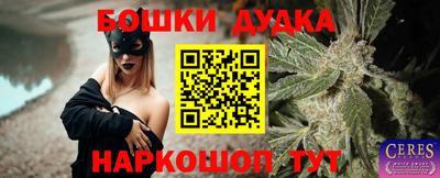 PSILOCYBIN Канаш