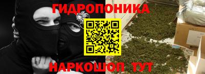PSILOCYBIN Канаш