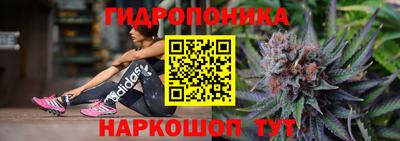СК Кандалакша