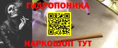 СК Кандалакша