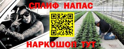 СК Кандалакша