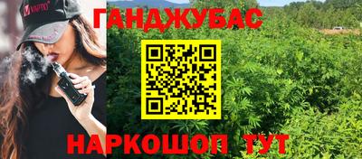 спиды Камышлов