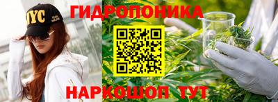 СК Кандалакша
