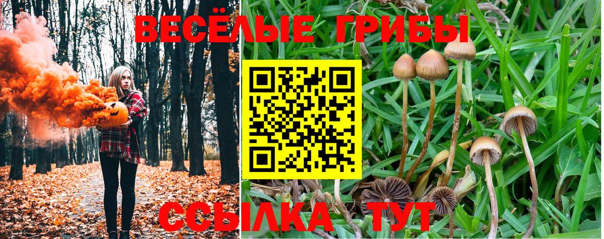Галлюциногенные грибы MAGIC MUSHROOMS Петрозаводск
