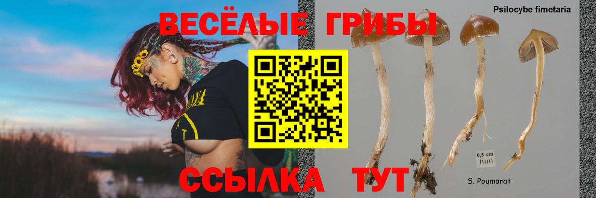 Галлюциногенные грибы мицелий  закладки  Вход с VPN  Петрозаводск  Галлюциногенные грибы MAGIC MUSHROOMS 