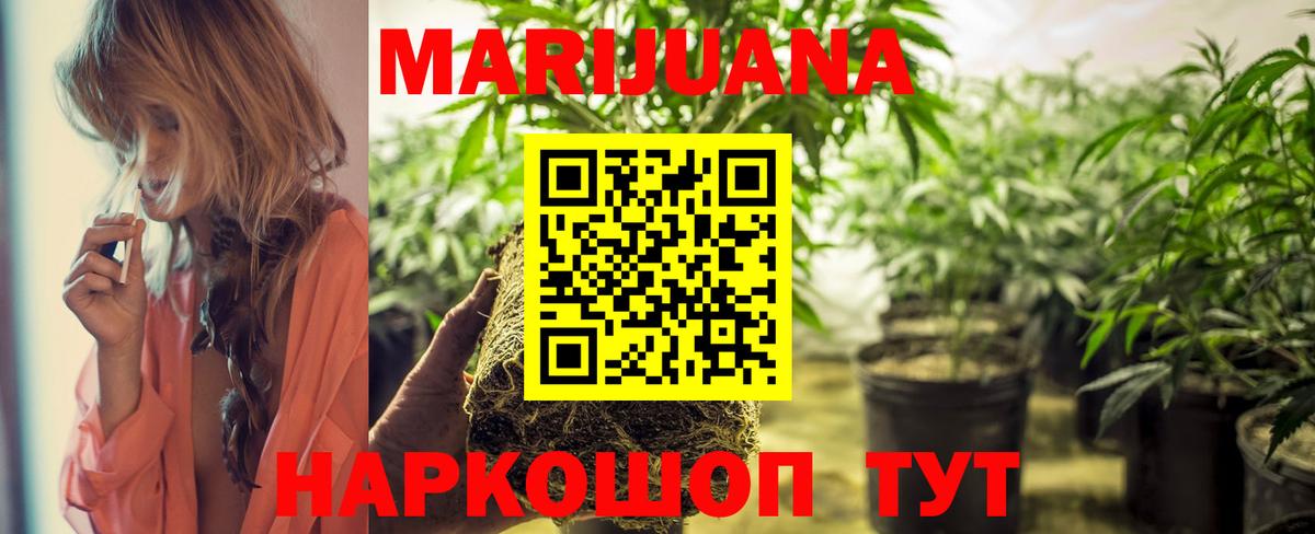 Бошки Шишки план Петрозаводск